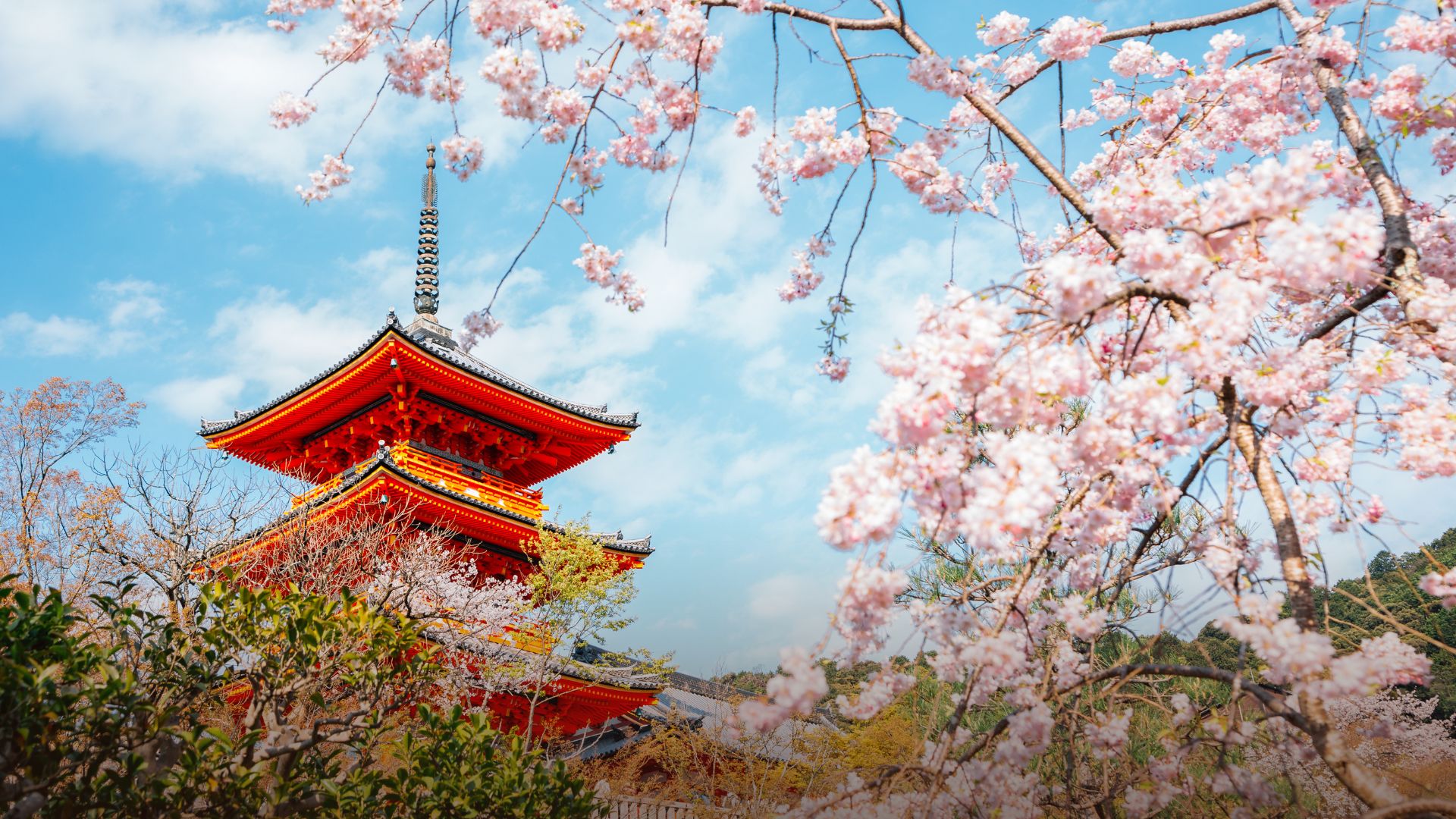 Japón Banzai
