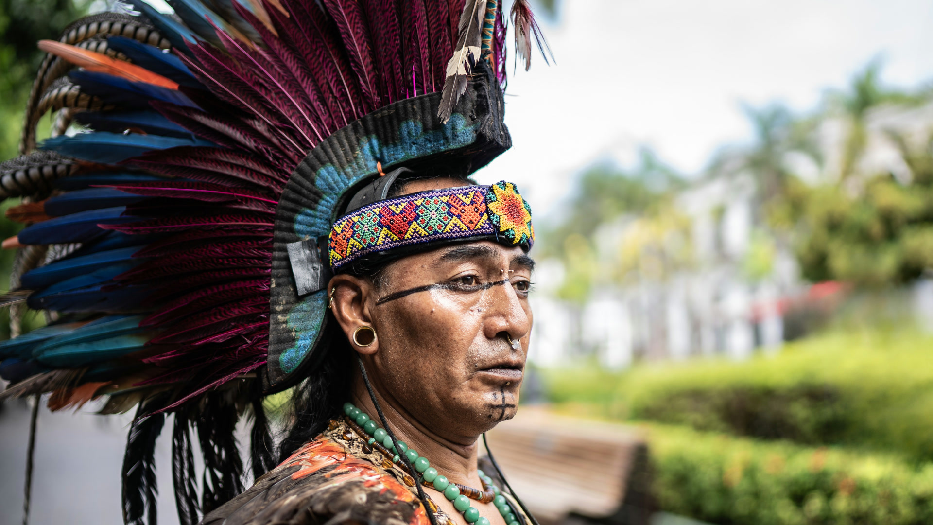 Esencias Coloniales II desde Barcelona